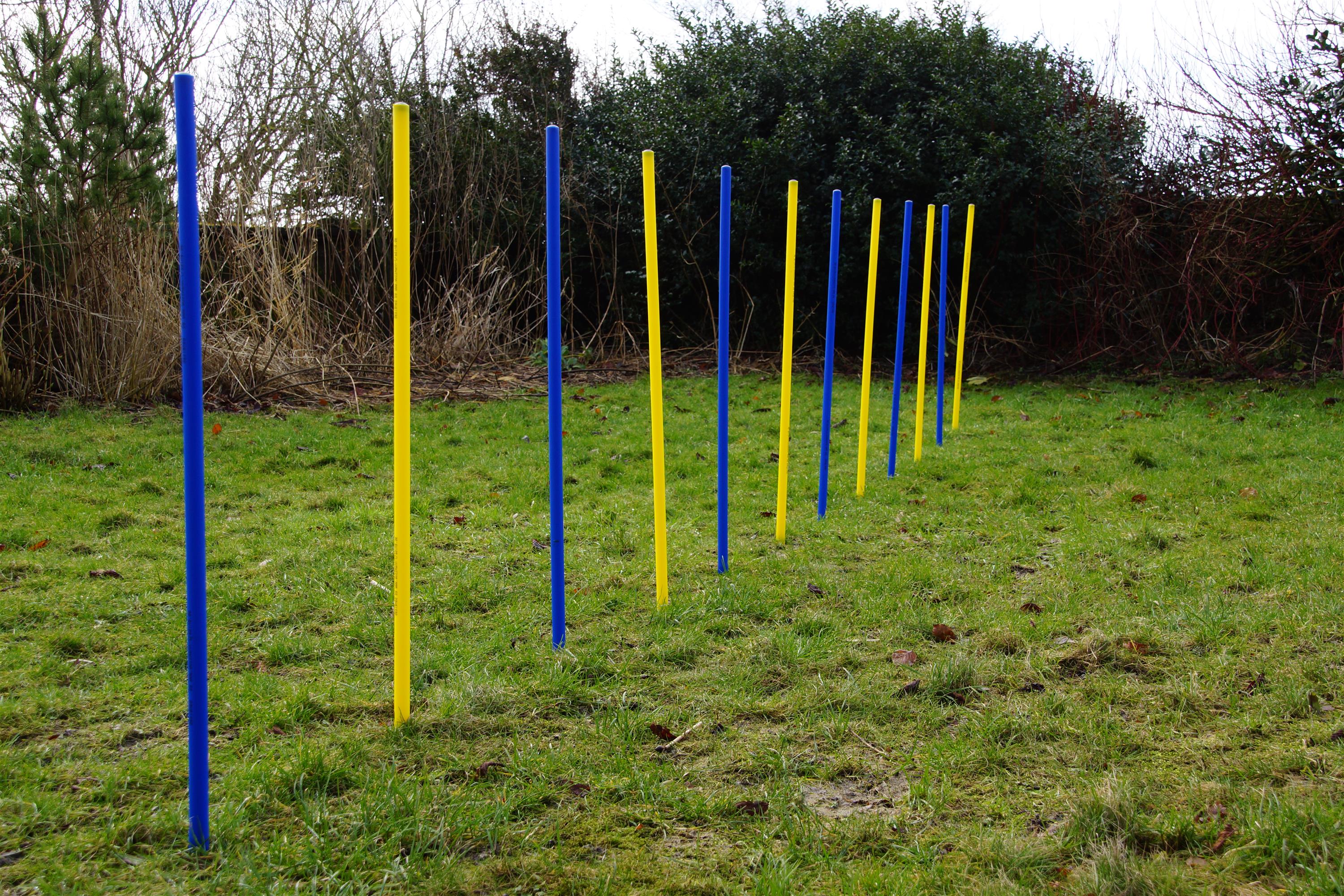 AGILITY-SLALOM-SET BLAU/GELB FLEXIBLE,RUNDE STANGEN